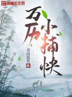 万历皇帝电视剧33集
